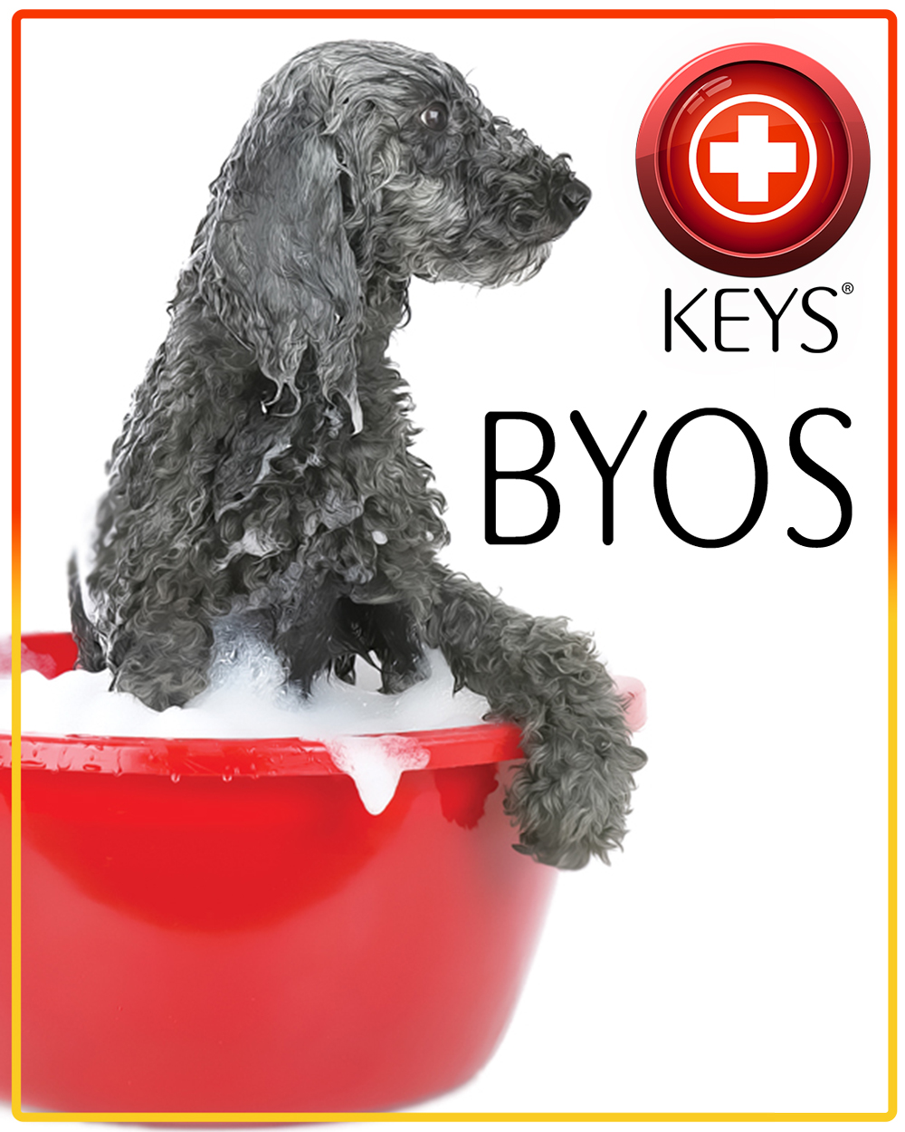 Love Your Dog, Beware The Groomer