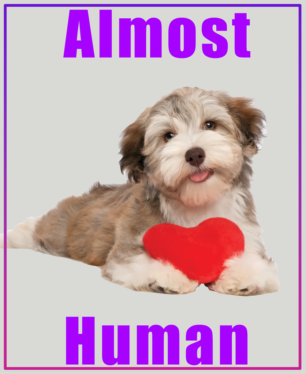 Human-Like Complexity of Dogs