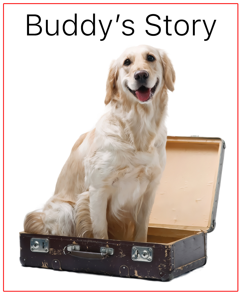 Buddy and Annie’s Story – A Dedication To Our Best Friends
